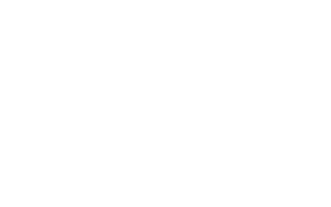 logo IMT Nord Europe white