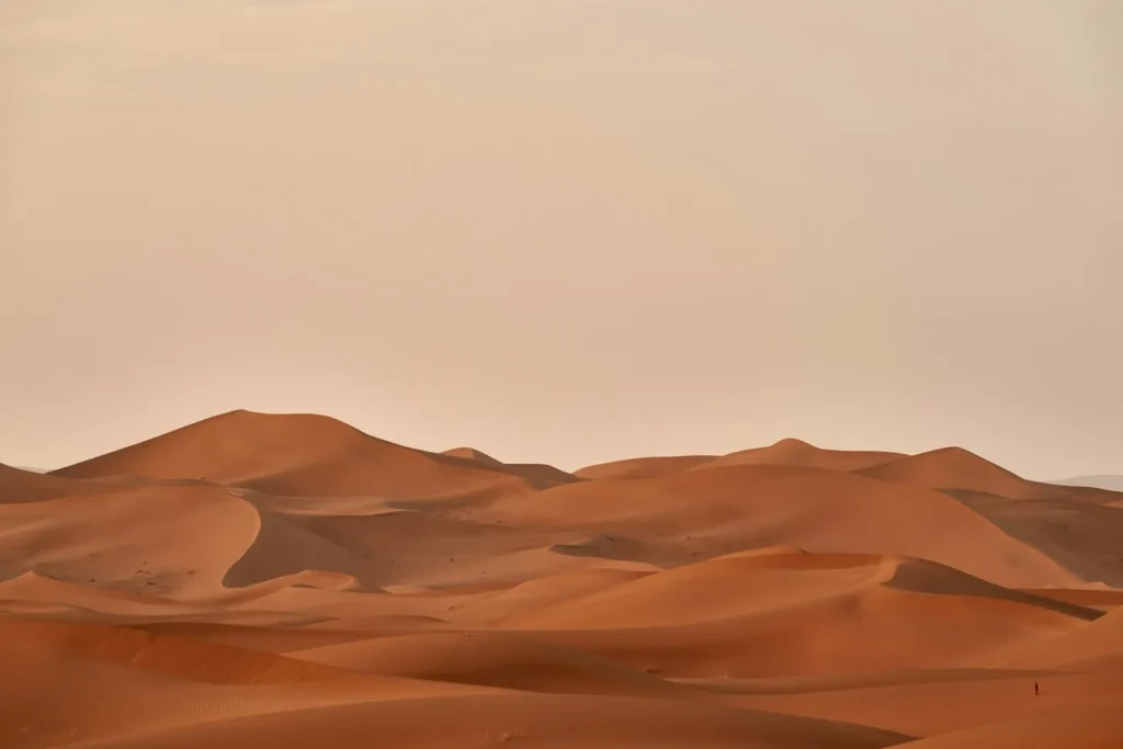 Paysage désertique