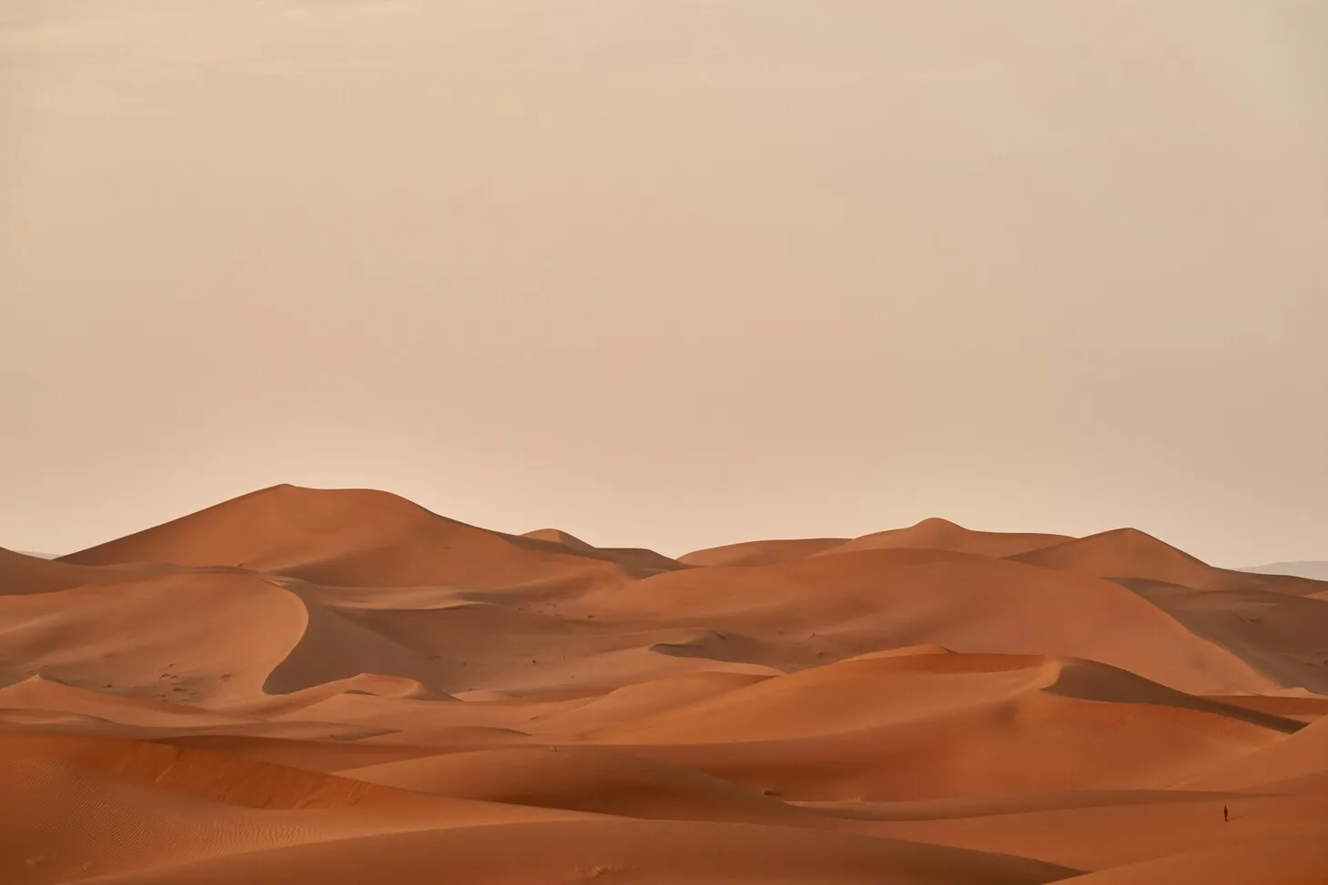 Paysage désertique